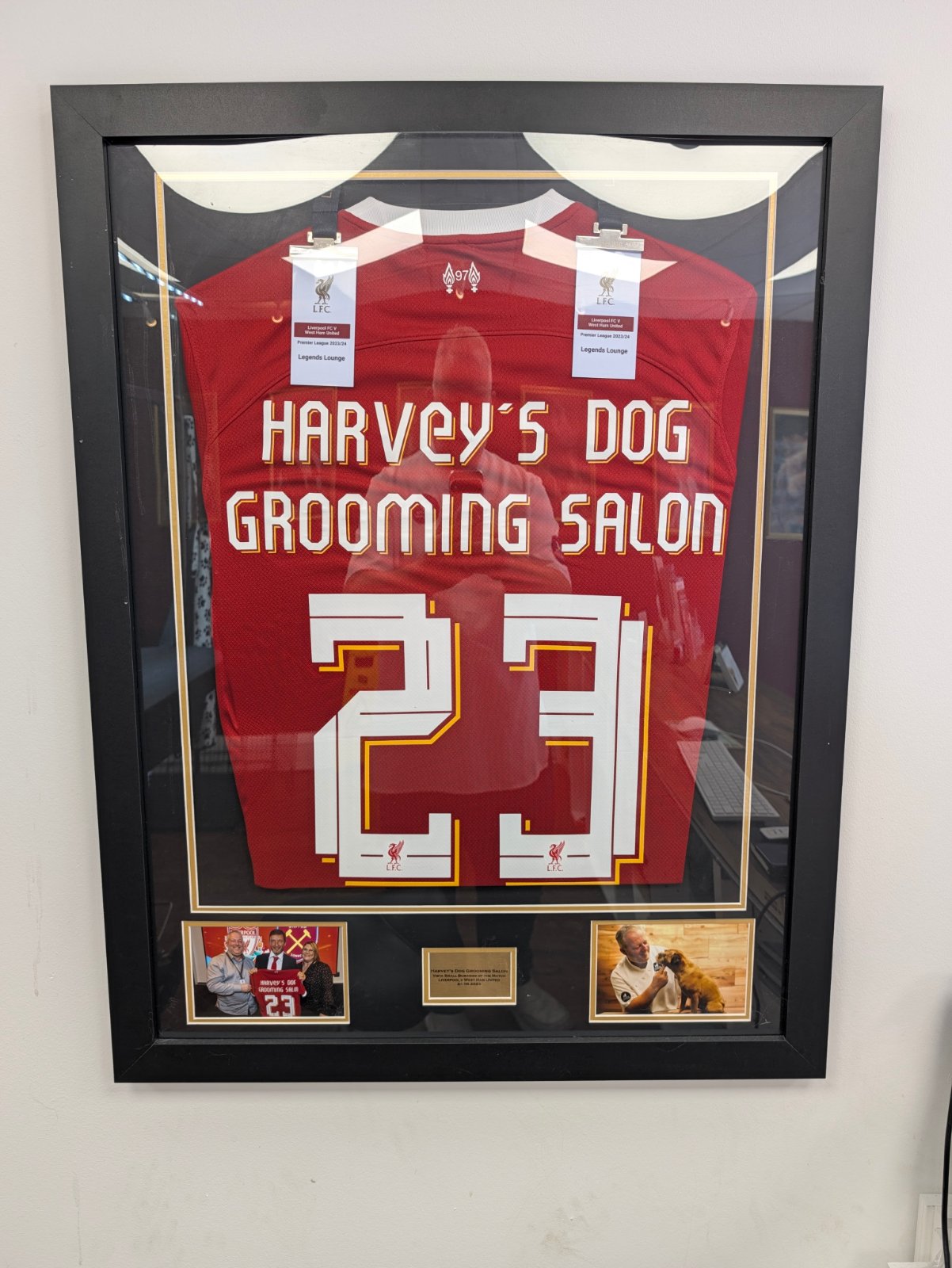Harvey's Pet Grooming grooming photo 3