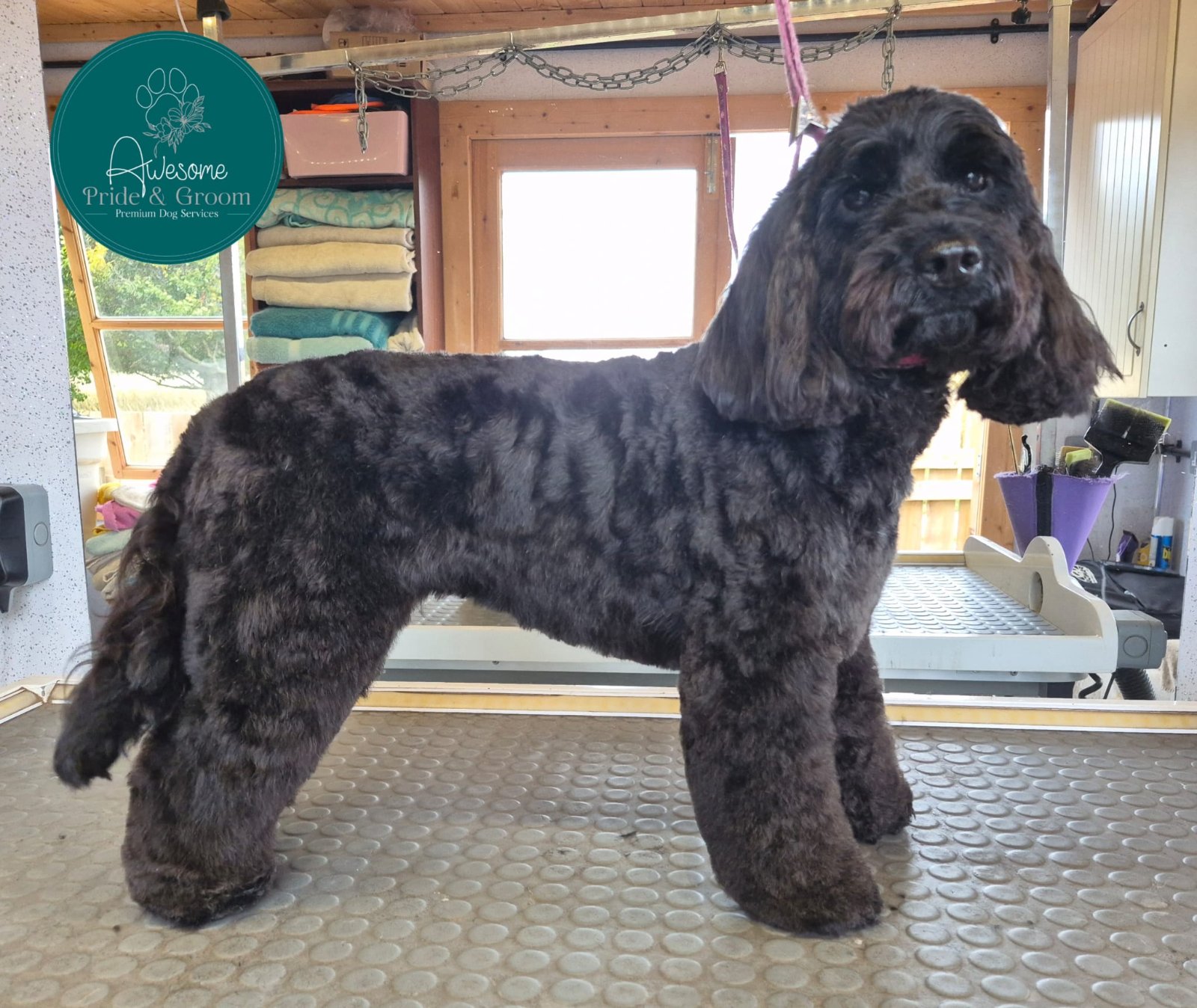 Awesome Pride & Groom grooming photo 4