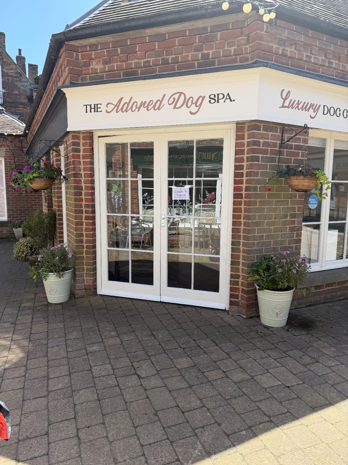 The Adored Dog Spa grooming photo 4