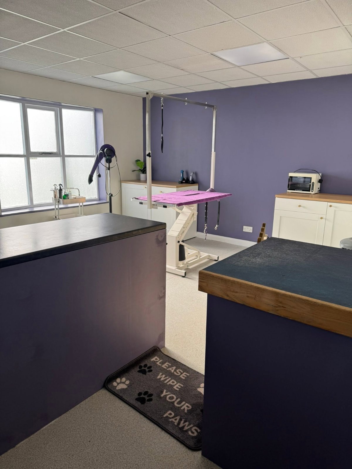 Dreybury Dog Groomers grooming photo 8