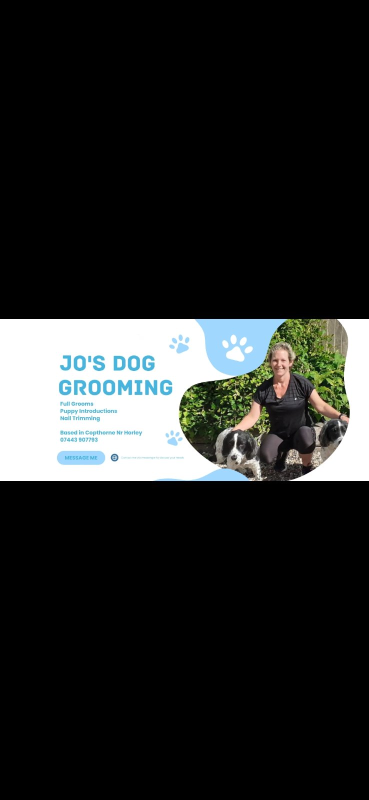 Jo's Dog Grooming, dog grooming in Copthorne
