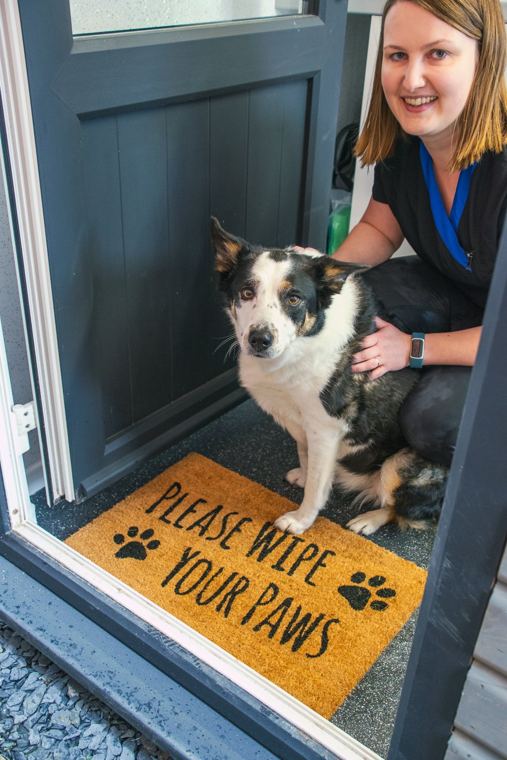 Kerry's Canines grooming photo 2