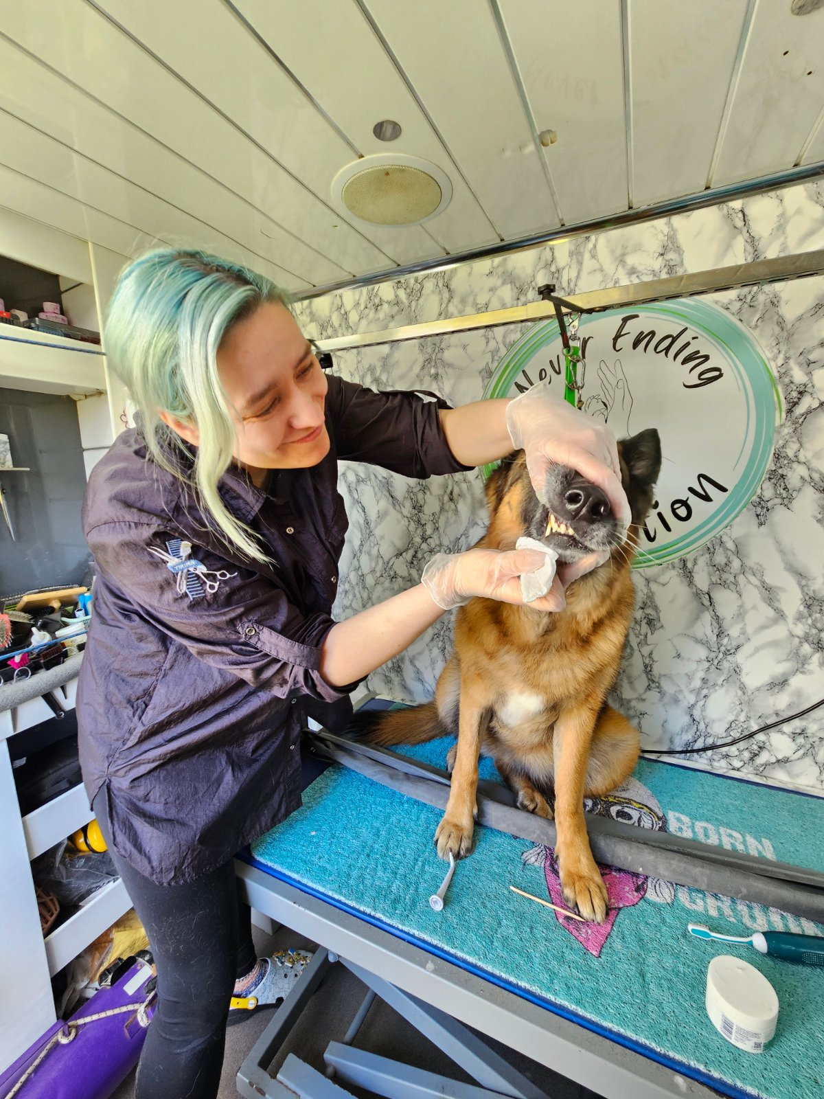 Marta Furman, dog groomer