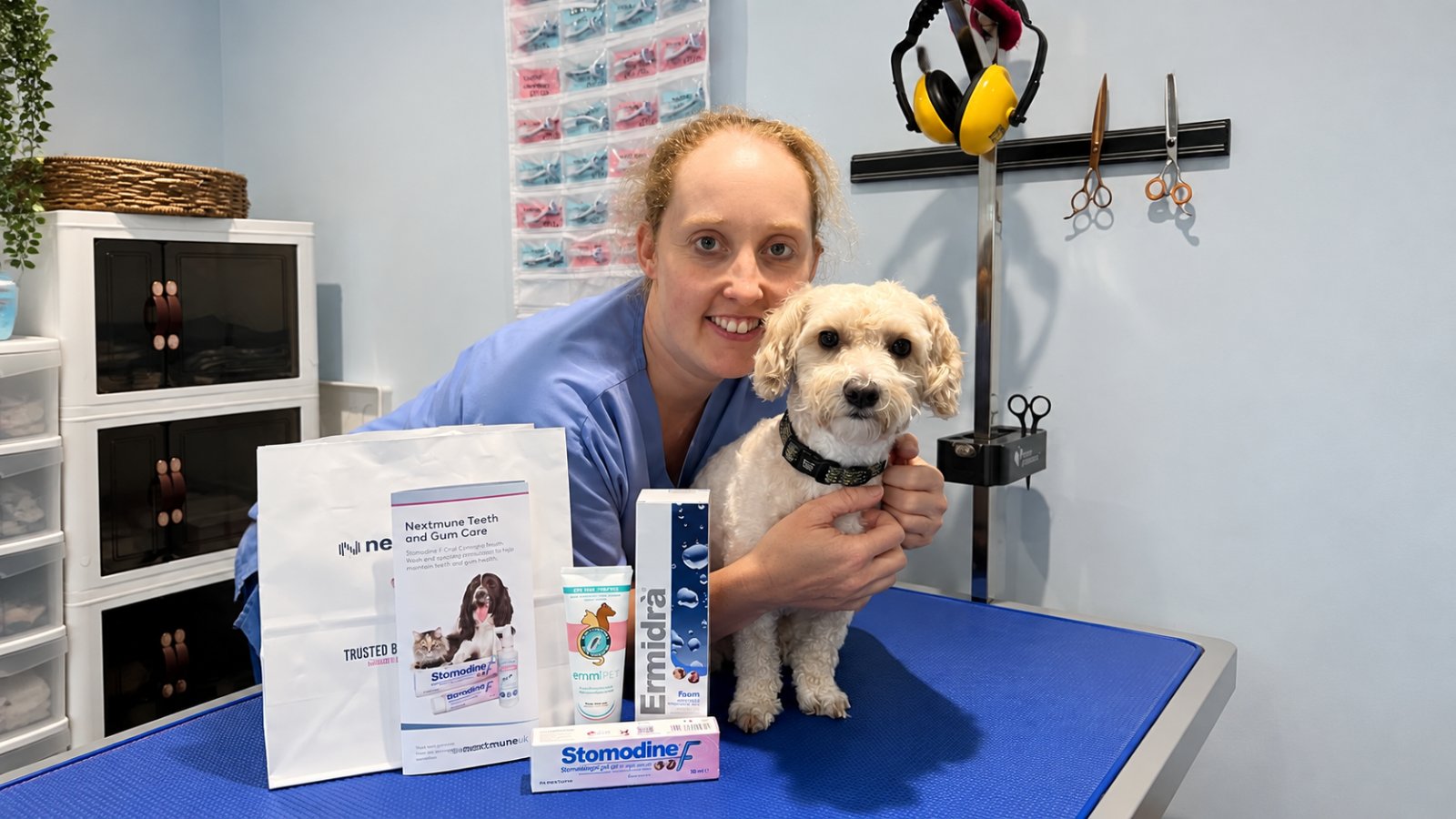 Nat's Classy K9s grooming photo 5