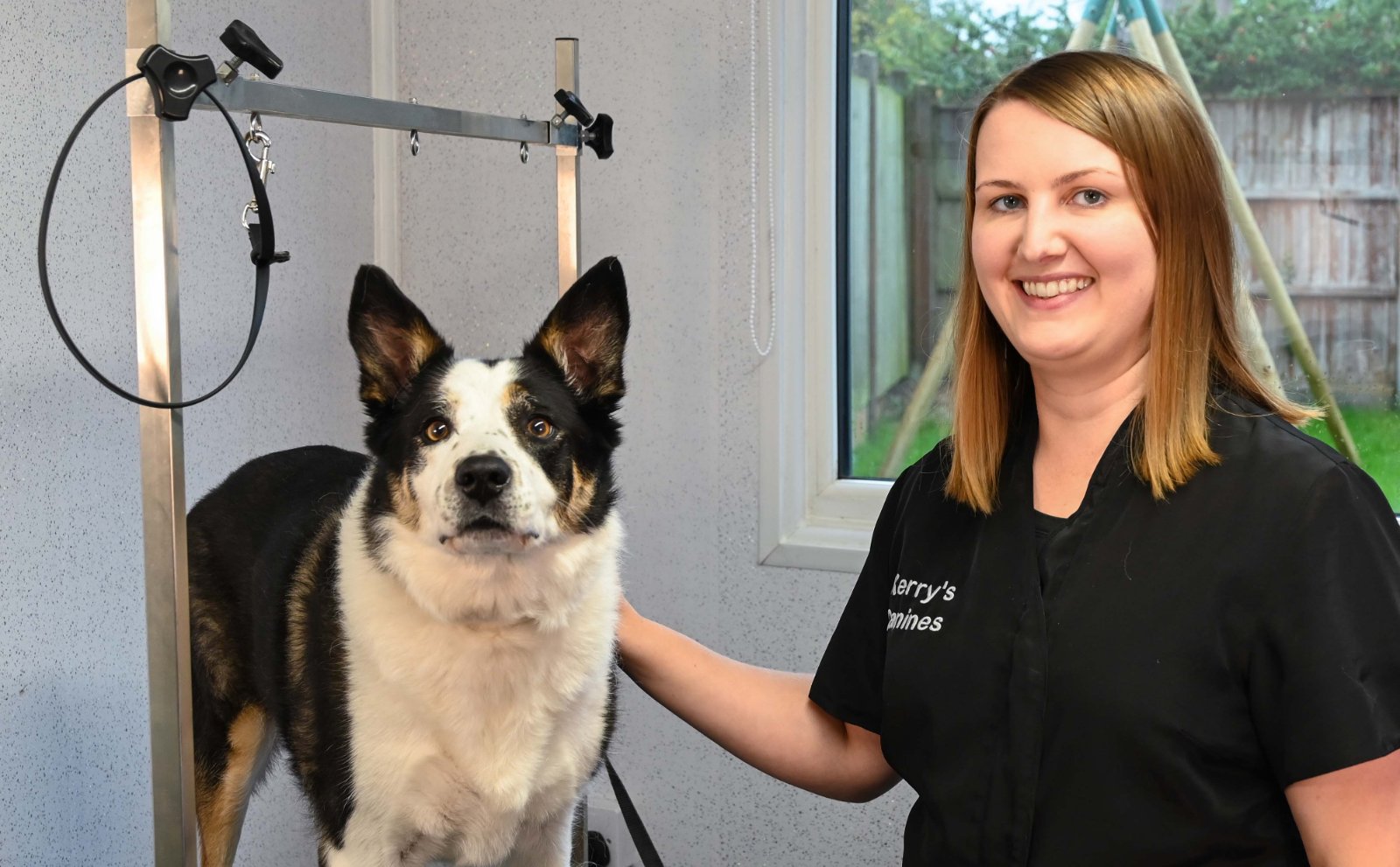 Kerry's Canines dog grooming