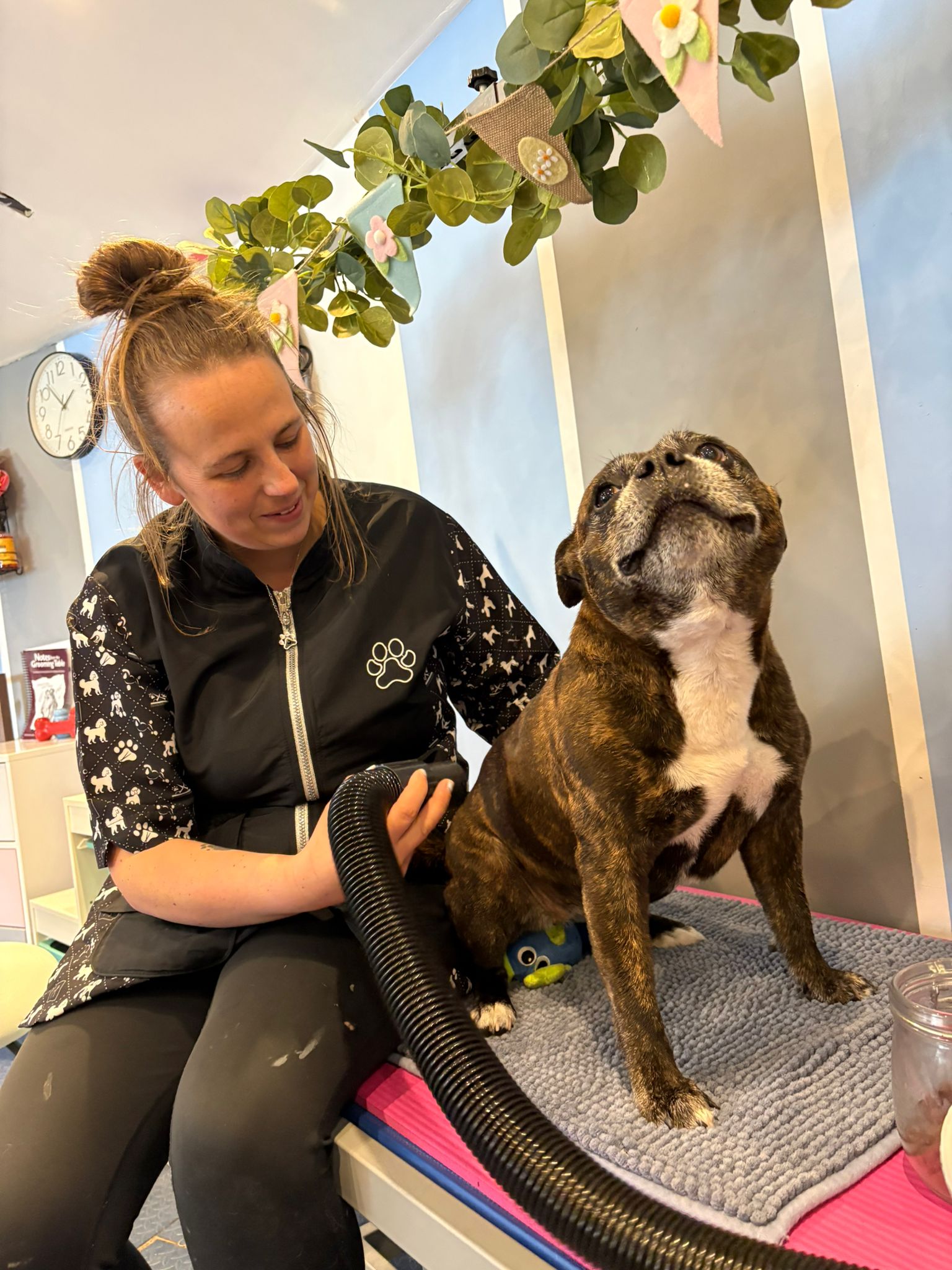 Millie Moo Dog Grooming grooming photo 4