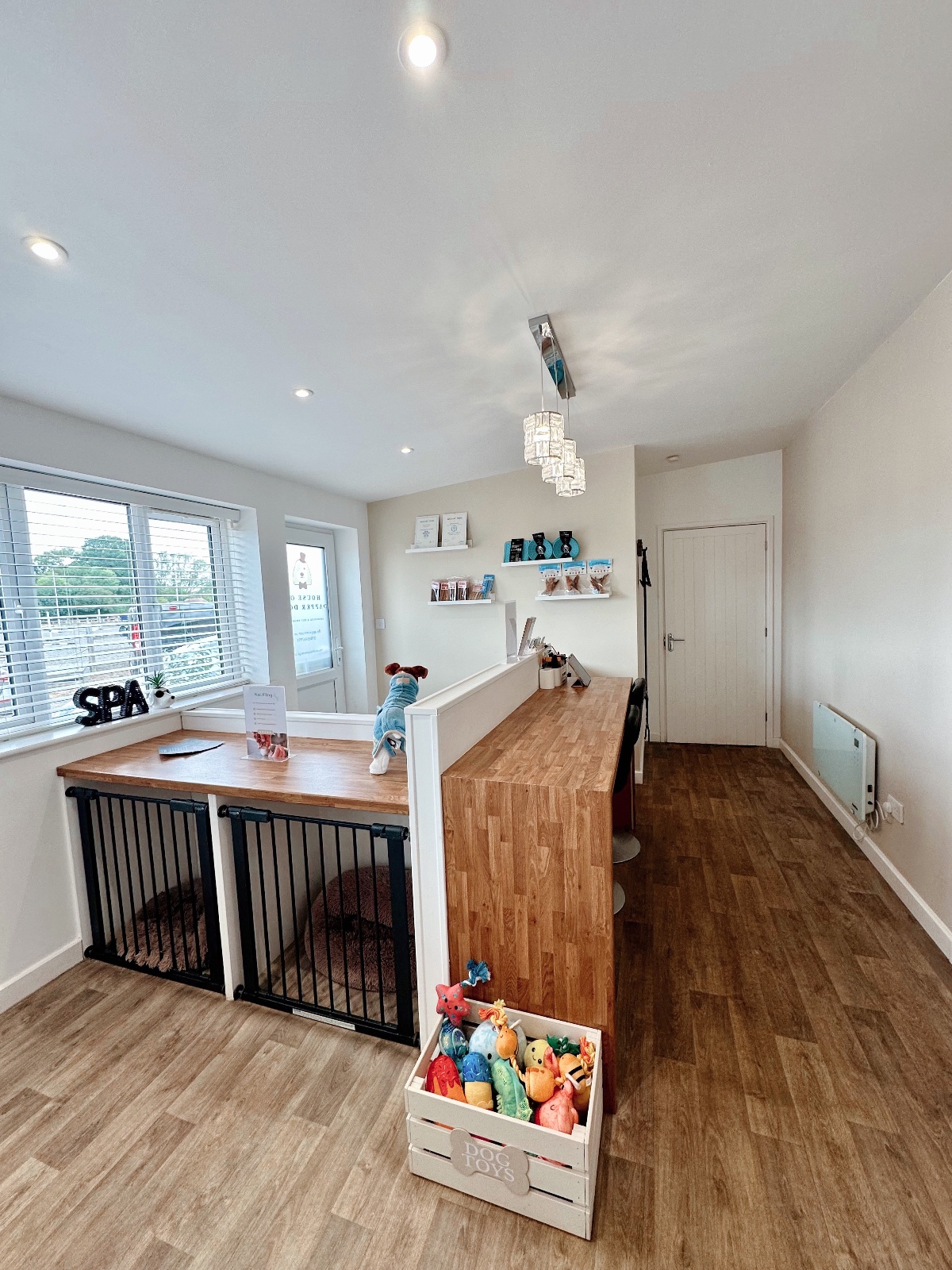 House of Dapper Dogs grooming photo 8