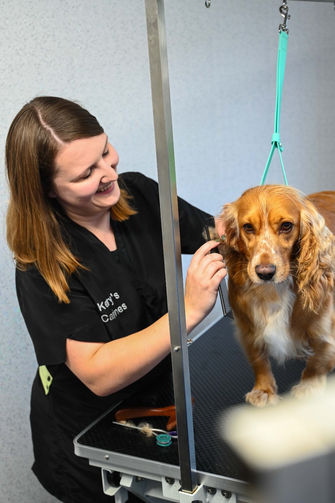 Kerry's Canines grooming photo 1