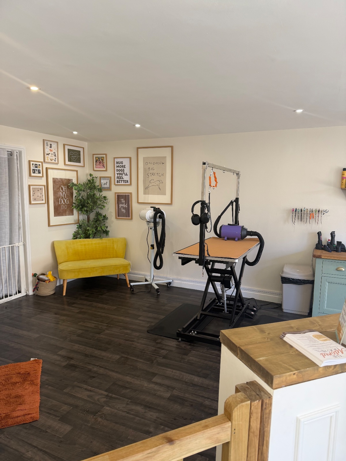 The Adored Dog Spa grooming photo 1