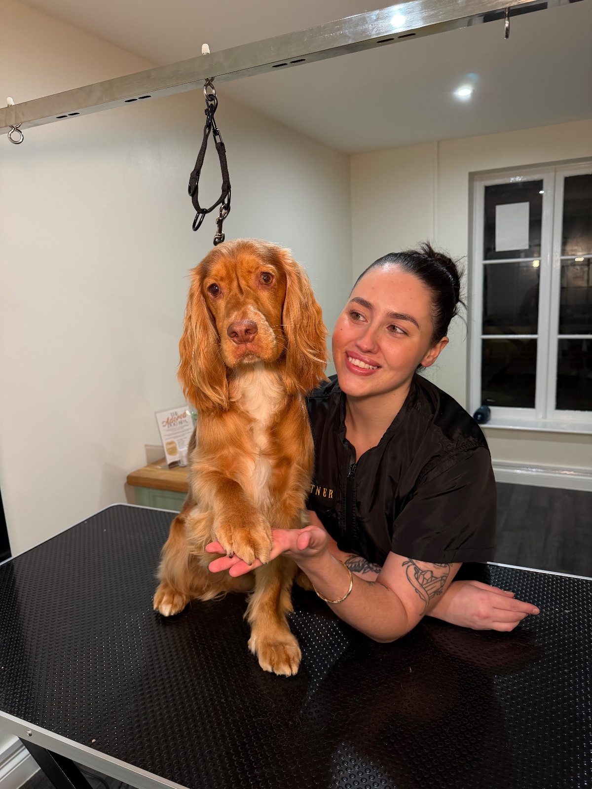 Georgia Holden, dog groomer