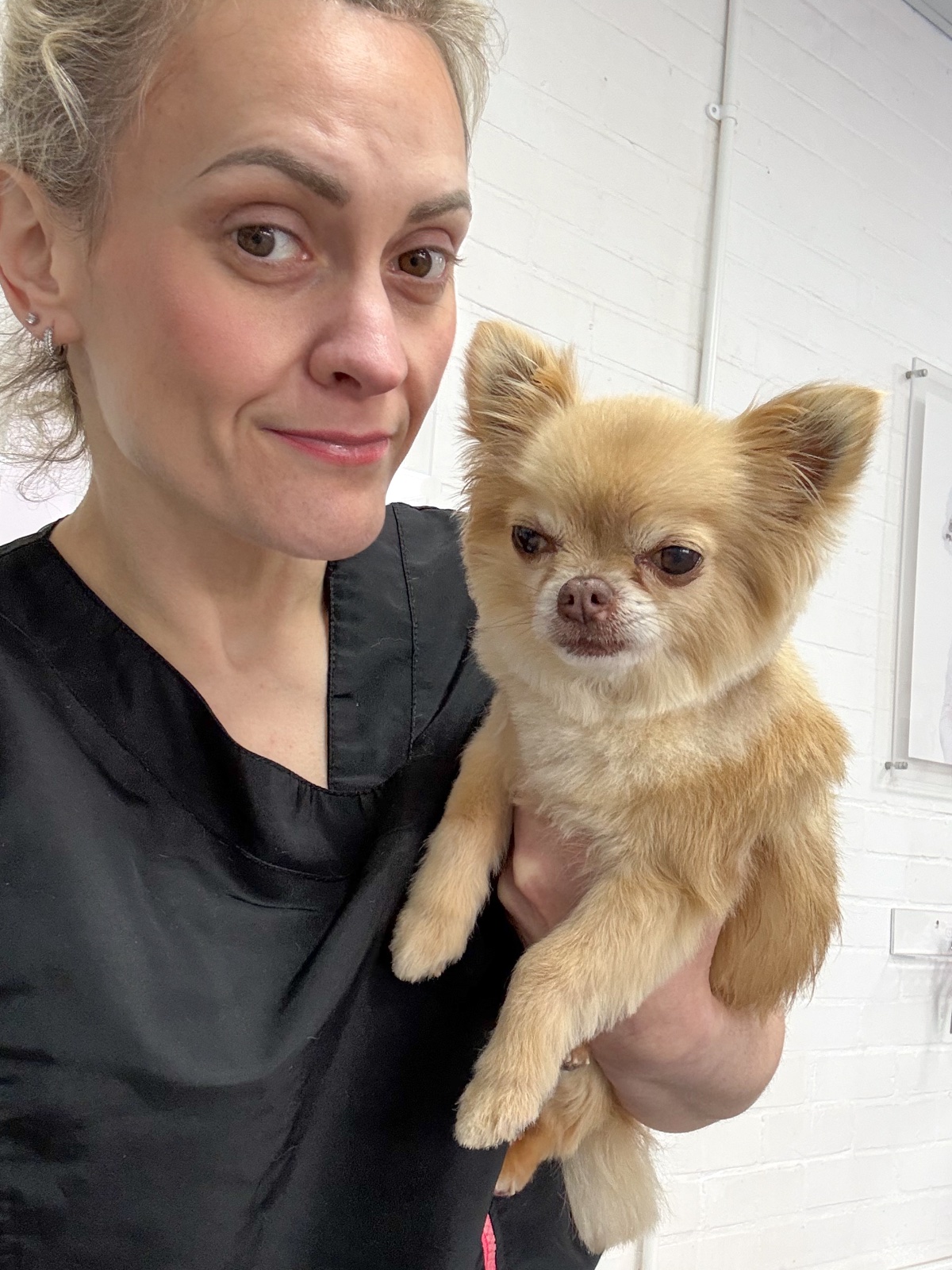 Fluffingtons Dog Spa grooming photo 5