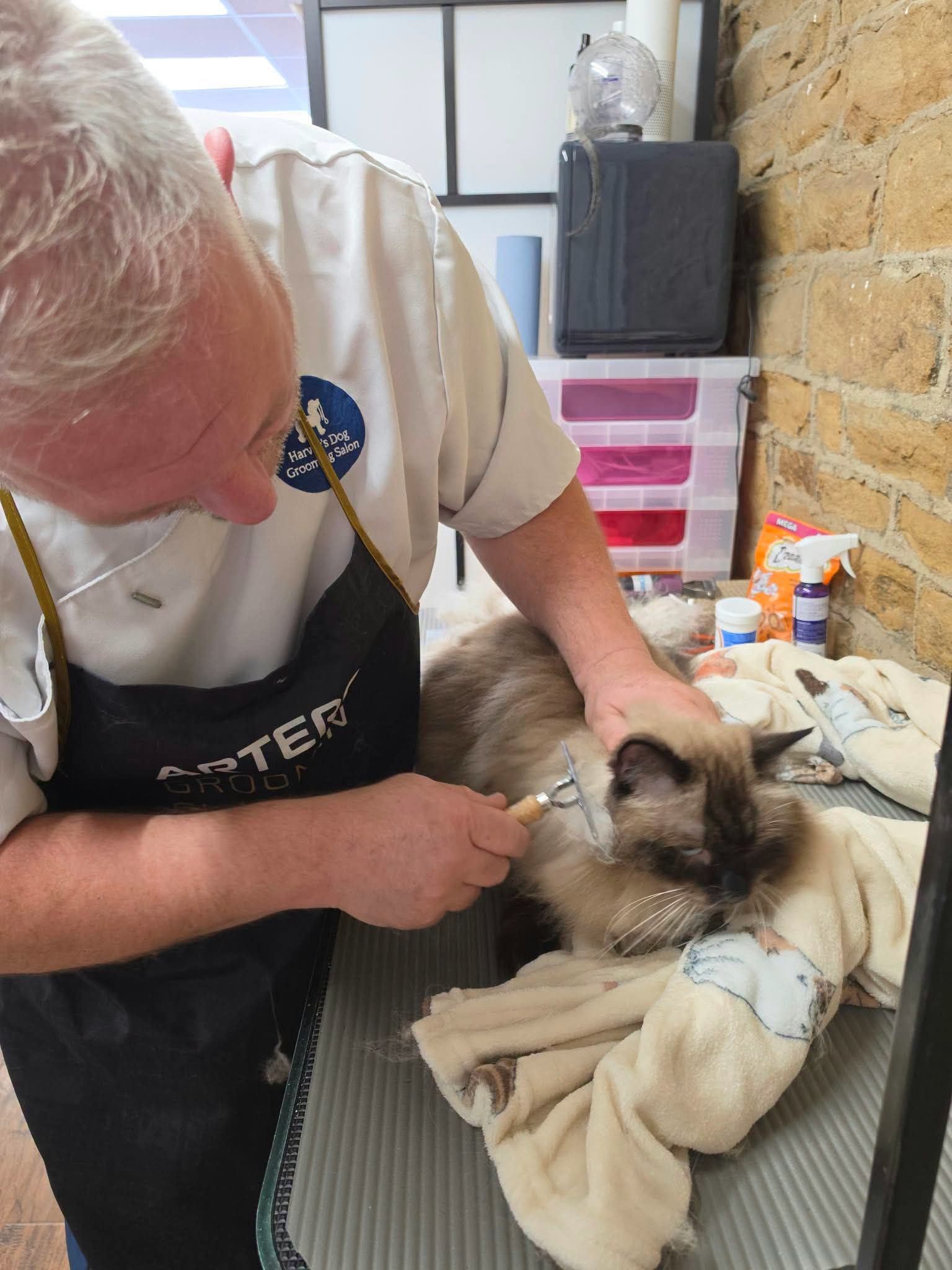 Harvey's Pet Grooming grooming photo 1