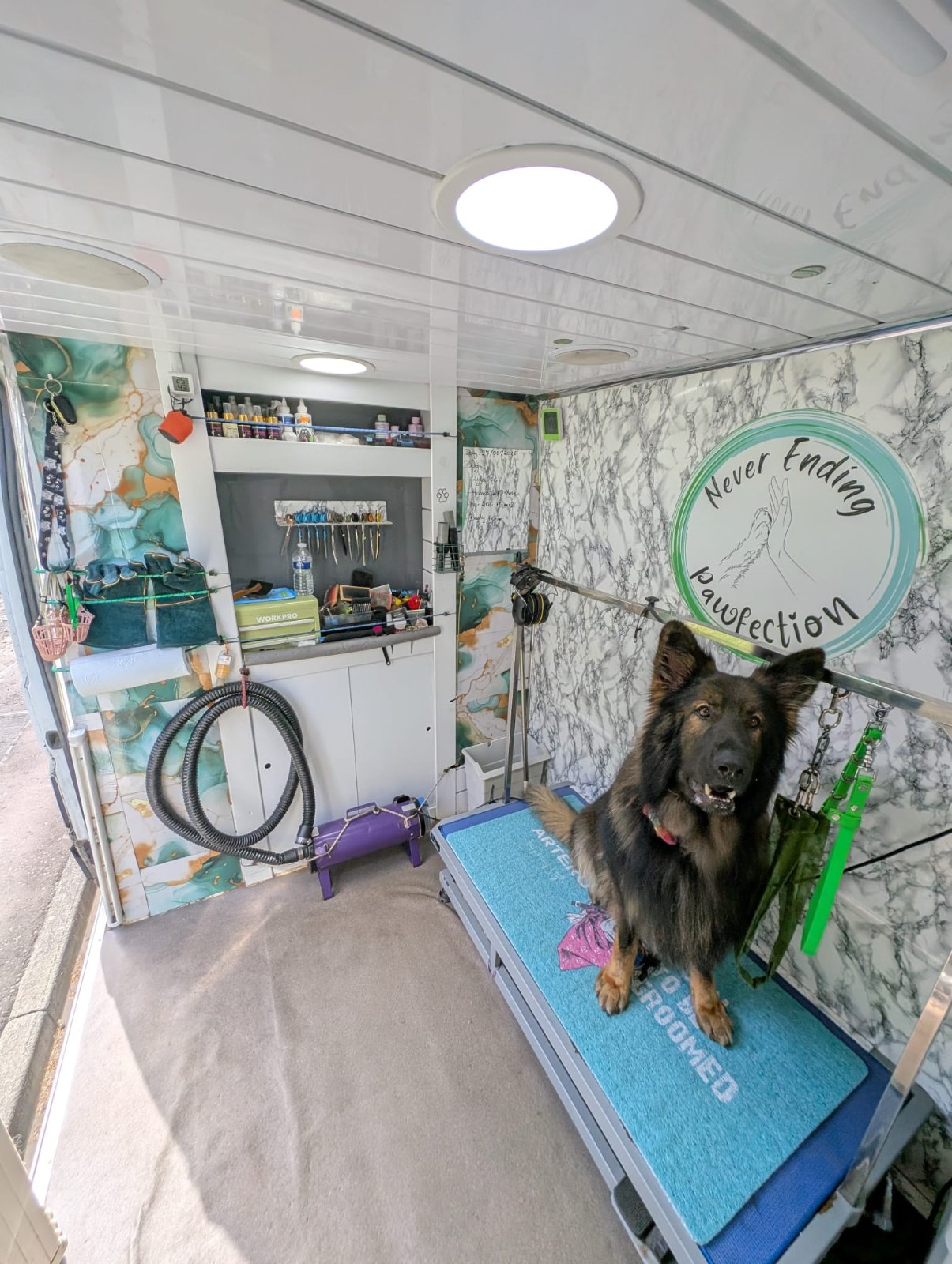Never Ending Pawfection Ltd grooming photo 2