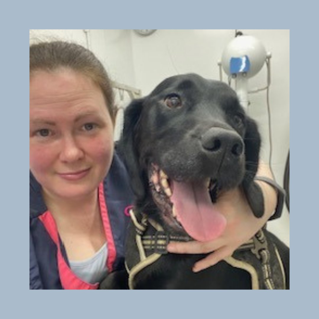 Sian Cram, dog groomer