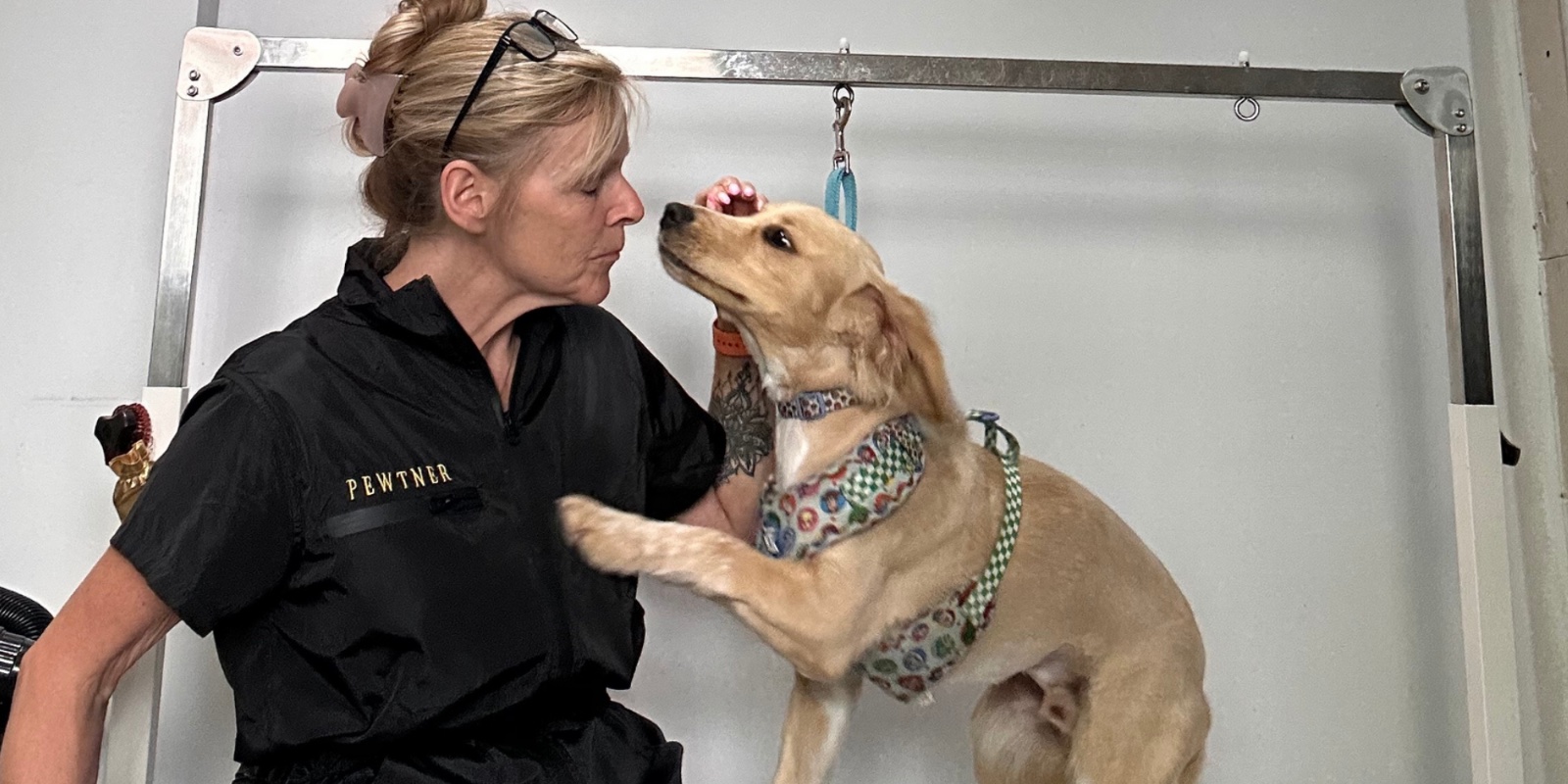 Scruffs no more, Grooming for Dogs grooming photo 2