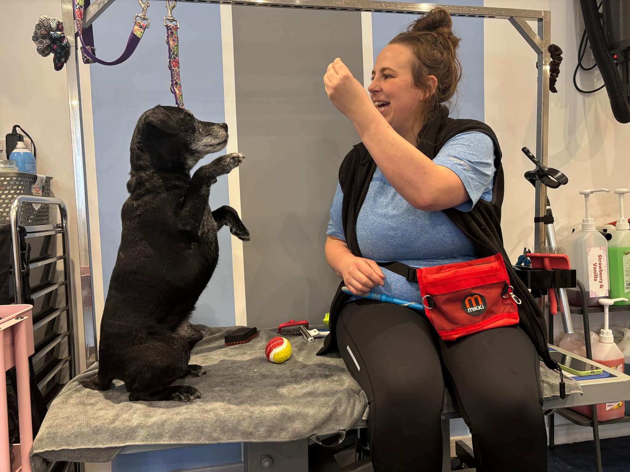 Millie Moo Dog Grooming, dog grooming in Tuxford