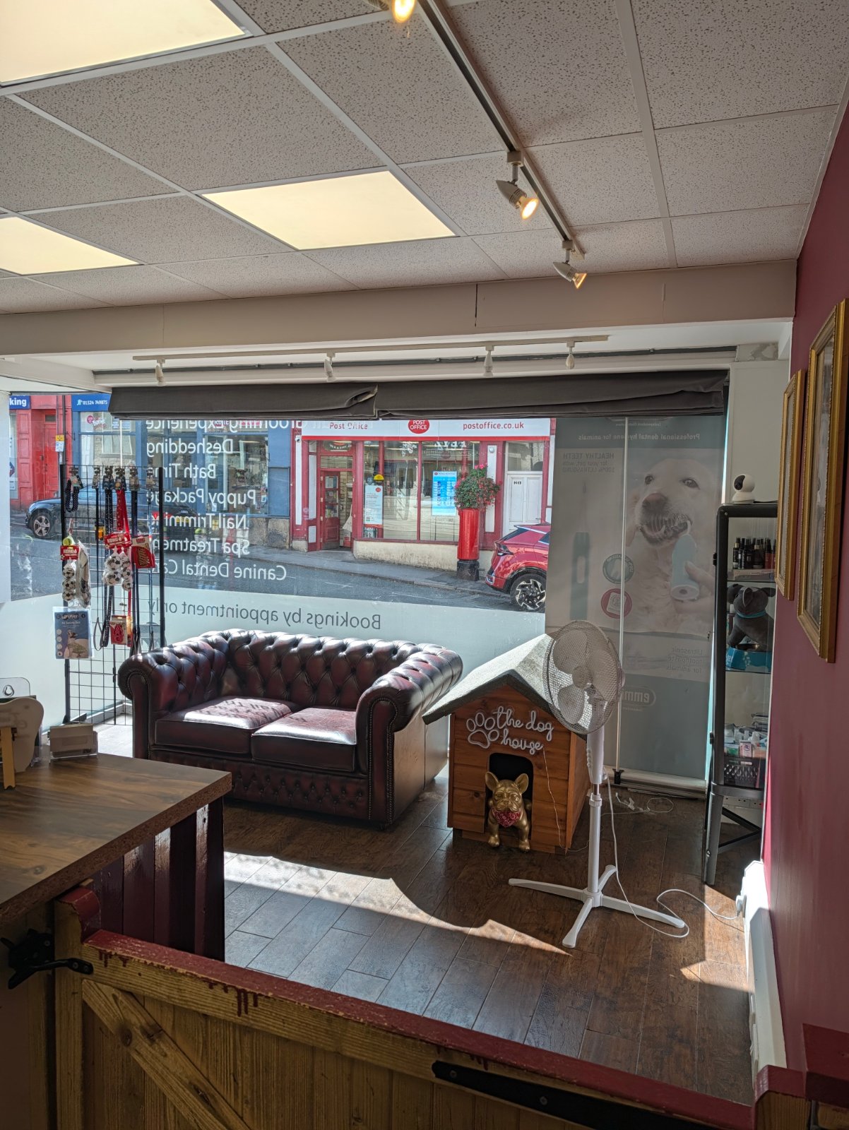 Harvey's Pet Grooming grooming photo 10