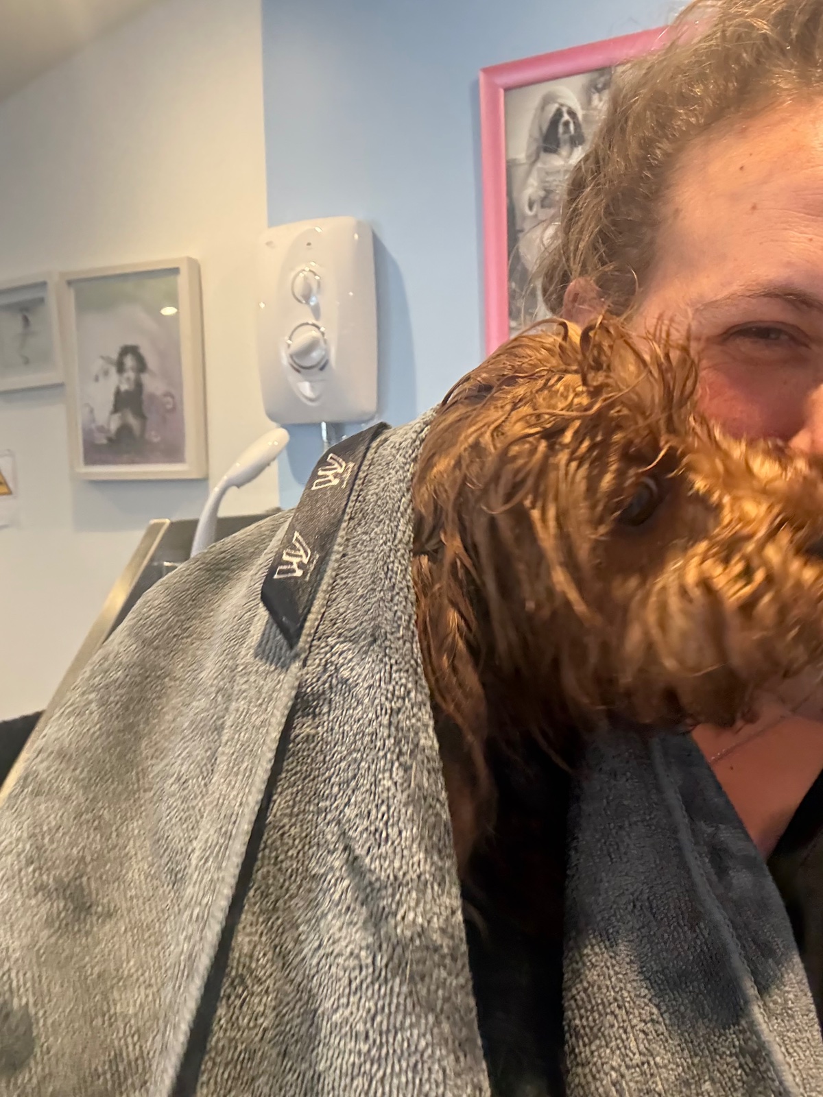 Millie Moo Dog Grooming grooming photo 6