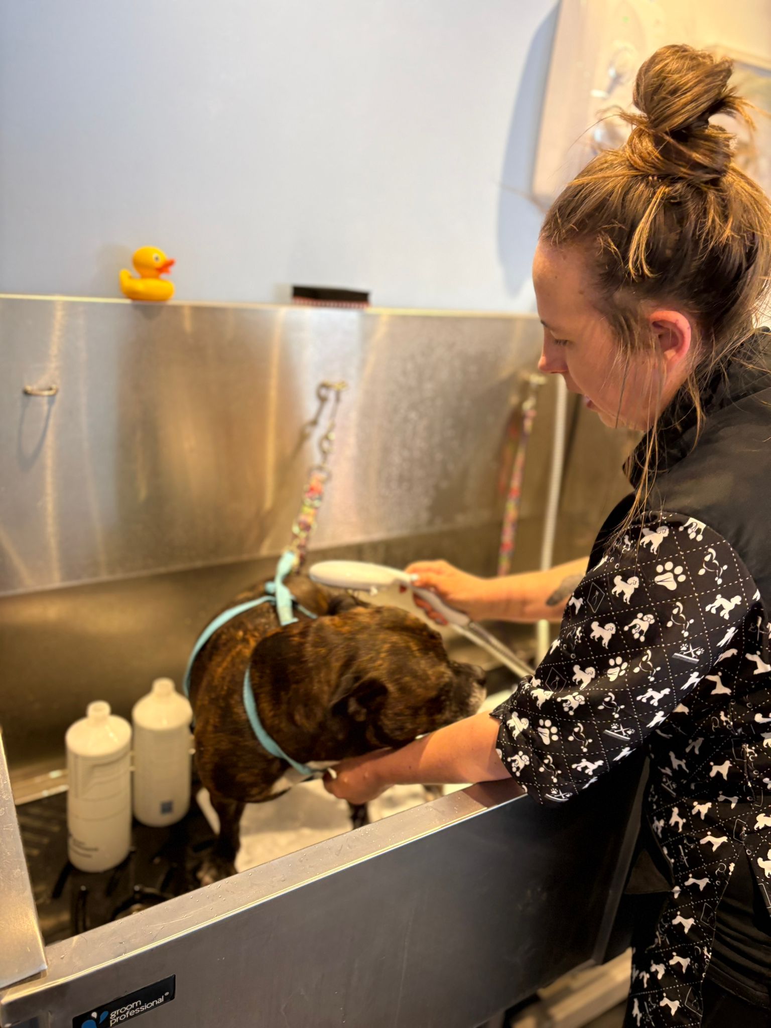 Millie Moo Dog Grooming grooming photo 1