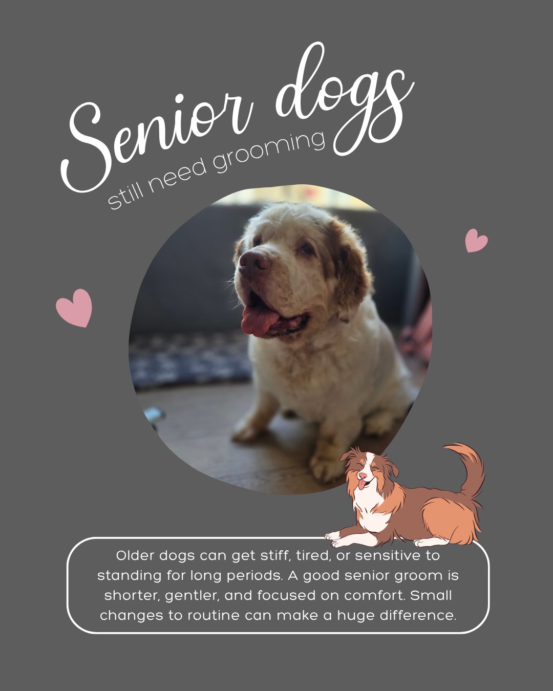 L Wills Pet Spa grooming photo 2