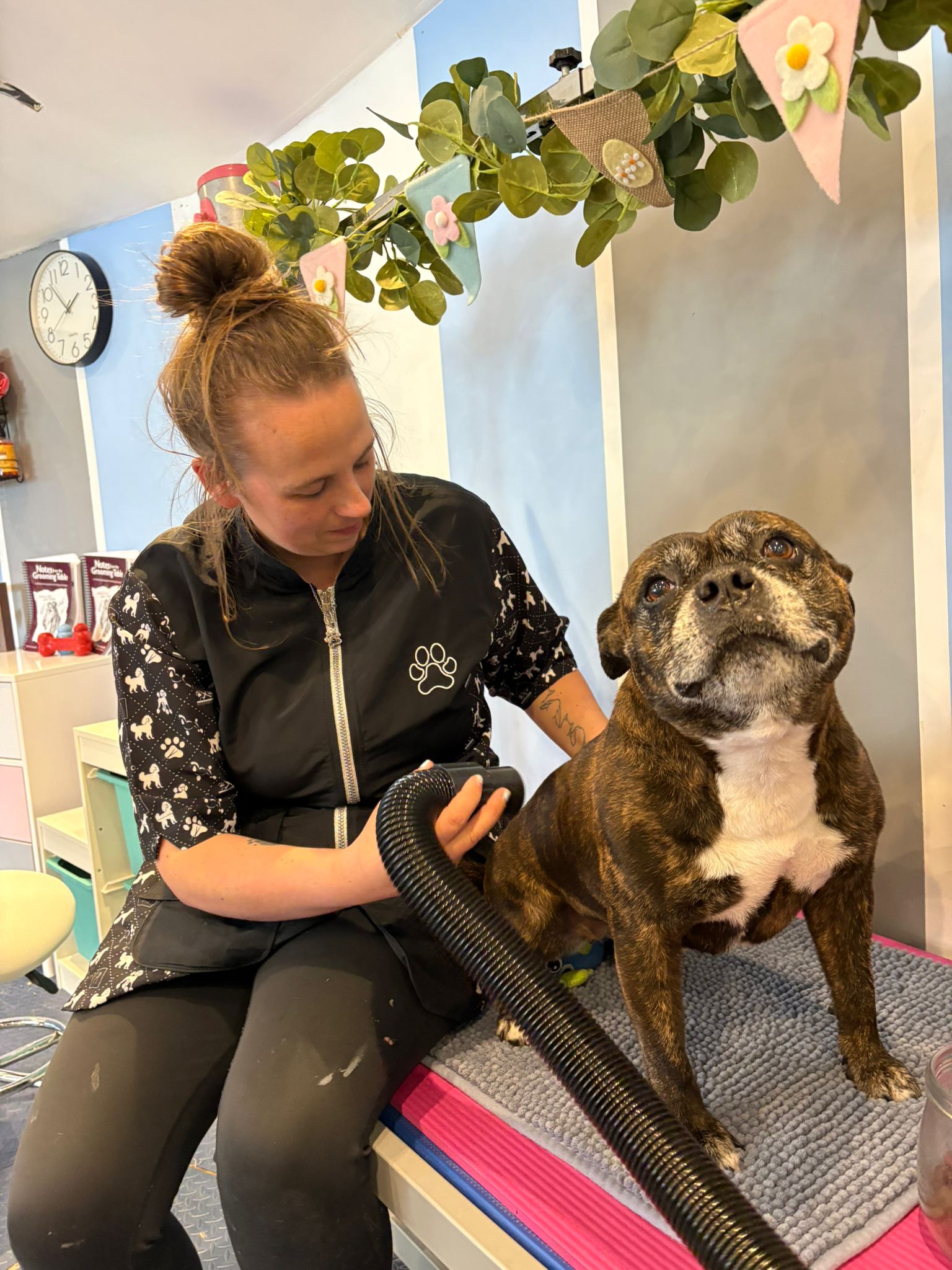 Sian Lucas, dog groomer