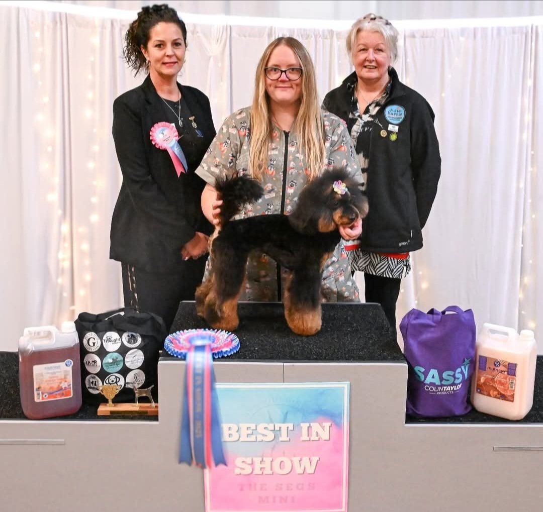 Felpham Dog Groomers grooming photo 1